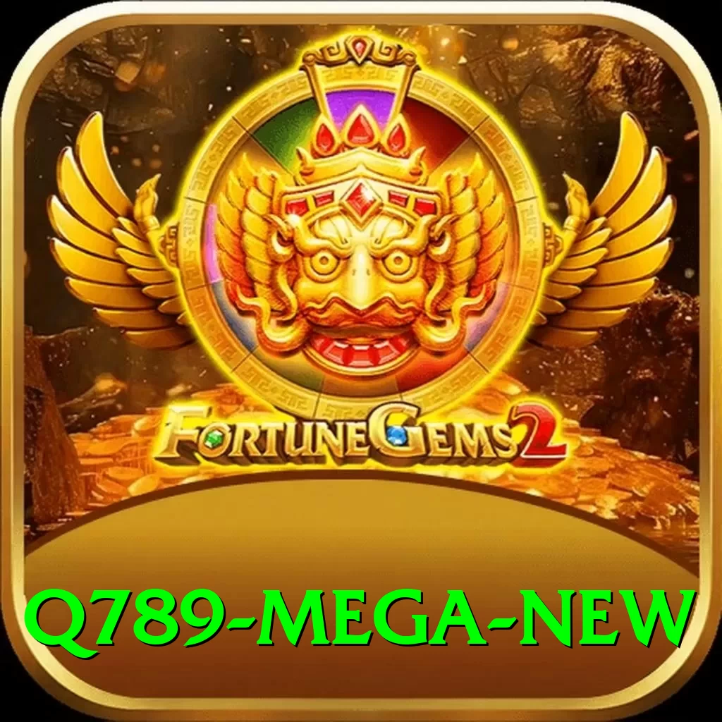 q789 Mega New - 2